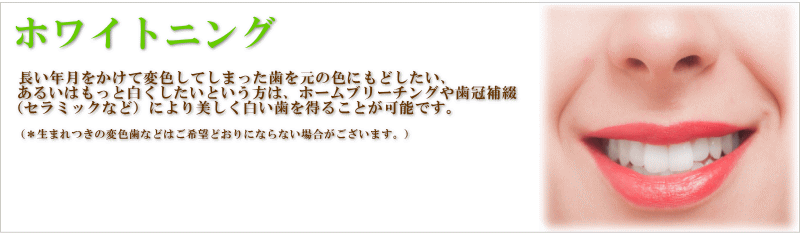 �z���C�g�j���O